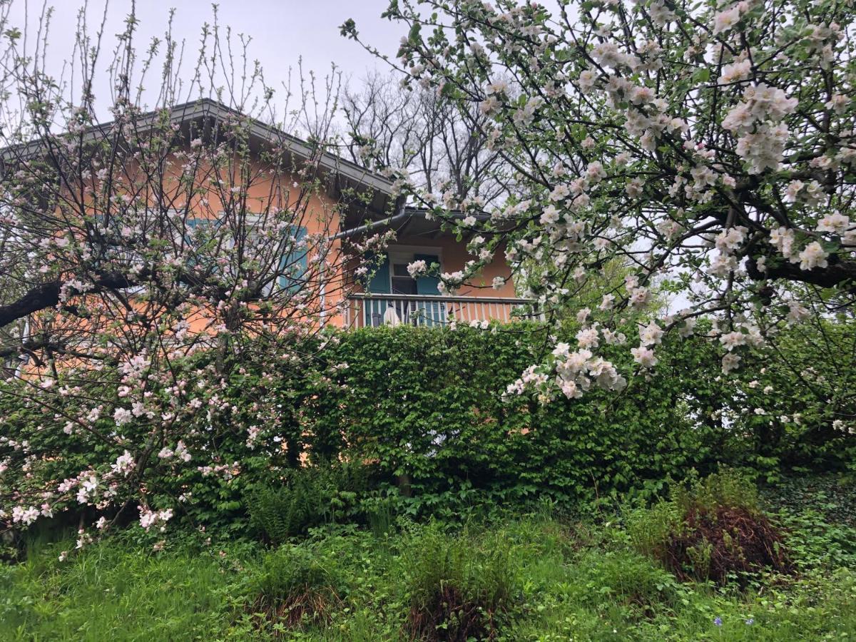 Ferienhaus Eisenach Buitenkant foto
